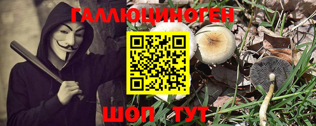 Долгопрудный  Галлюциногенные грибы GOLDEN TEACHER  Галлюциногенные грибы мухоморы  Вход с VPN 